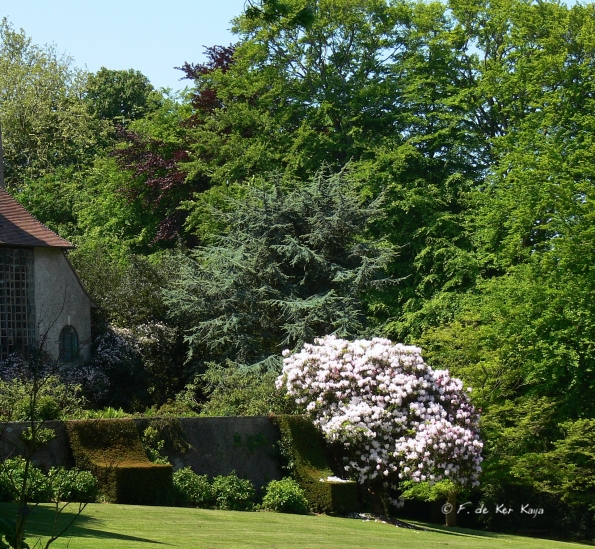 Bois des Moutiers (279) Mai 2012